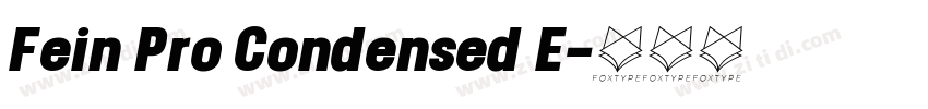 Fein Pro Condensed E字体转换